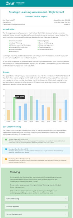 Individual Student Report Thumbnail